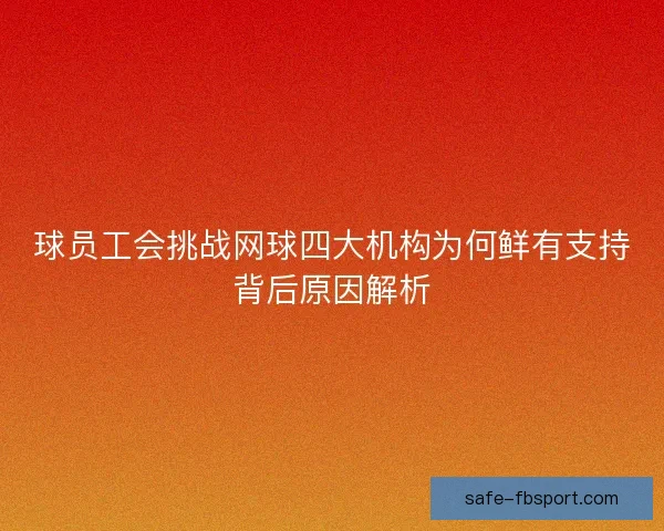 球员工会挑战网球四大机构为何鲜有支持背后原因解析