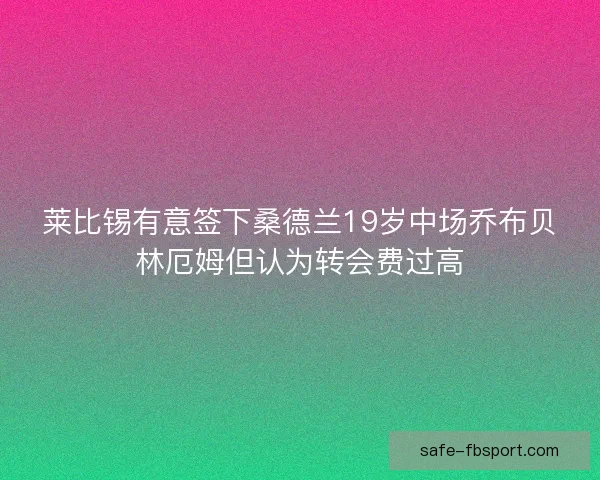 莱比锡有意签下桑德兰19岁中场乔布贝林厄姆但认为转会费过高