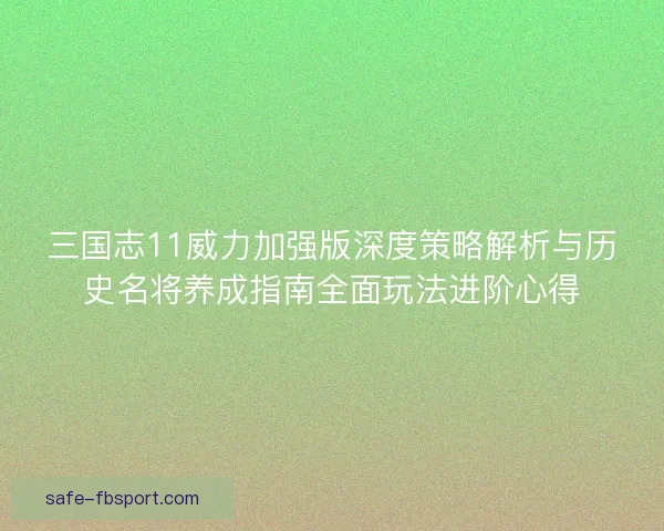 三国志11威力加强版深度策略解析与历史名将养成指南全面玩法进阶心得 三国志11威力加强版深度策略解析与历史名将养成指南全面玩法进阶心得